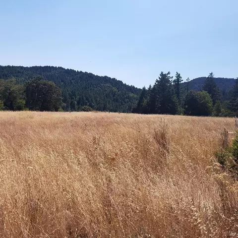 80090 Road 442b Rd, Piercy, CA 95776