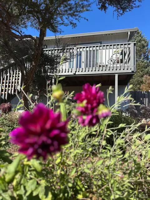 Undisclosed, Cotati, CA 94931 photo 2