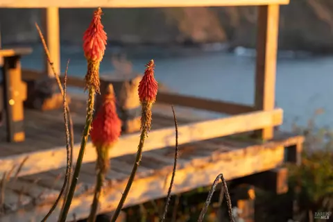 Other - Undisclosed, Albion, CA 95410 photo 5 of 18