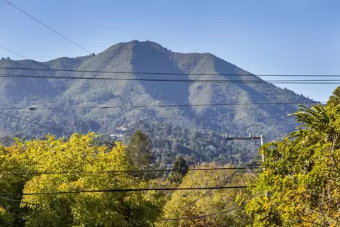 56 Locust Ave, Mill Valley, CA 94941 photo 38