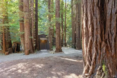 Exterior - 6935 Lucas Valley Rd, Nicasio, CA 94946 photo 12 of 26
