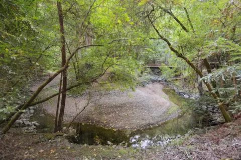 View/Area - 6935 Lucas Valley Rd, Nicasio, CA 94946 photo 4 of 7