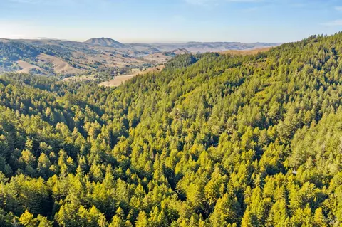 View/Area - 6935 Lucas Valley Rd, Nicasio, CA 94946 photo 6 of 7