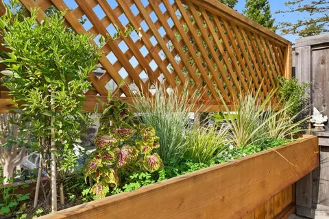 Exterior - 52 Park Ter, Mill Valley, CA 94941 photo 1 of 13