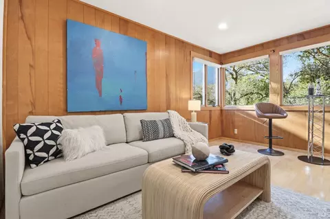 Other - 19 Cushing Dr, Mill Valley, CA 94941 photo 4 of 9