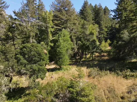1 Meadow View Ln, San Geronimo, CA 94963 photo 10