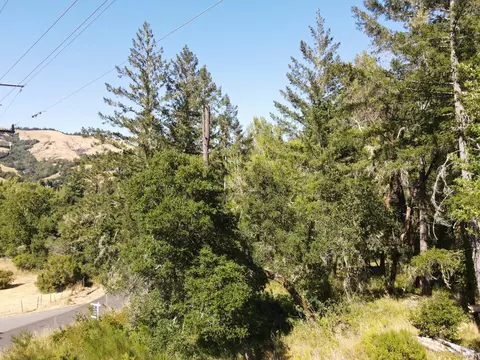 1 Meadow View Ln, San Geronimo, CA 94963 photo 8