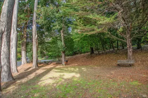 362 Pine Hill Rd, Mill Valley, CA 94941 photo 61