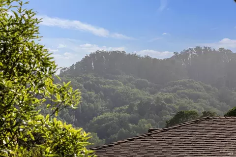 362 Pine Hill Rd, Mill Valley, CA 94941 photo 34