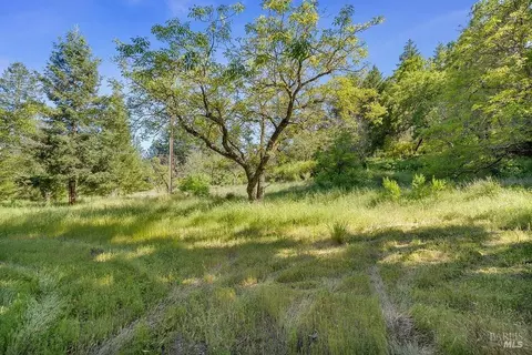 3500 Mount Veeder Rd, Napa, CA 94558 photo 36
