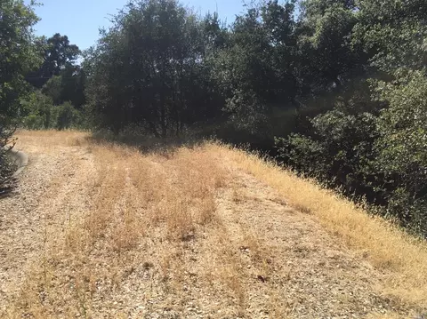 2024 Pinecrest Ct, Vacaville, CA 95688 photo 5