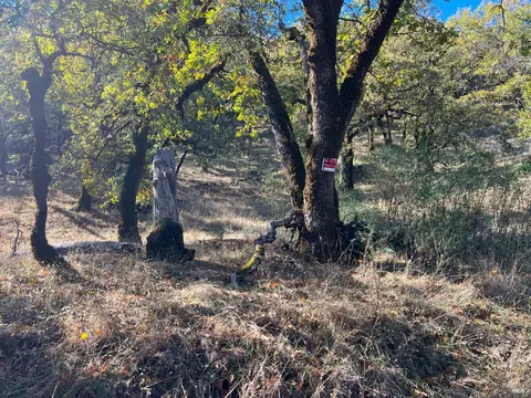 5290 Butler Ranch Rd, Ukiah, CA 95482 photo 5