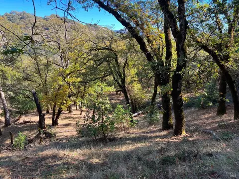 5290 Butler Ranch Rd, Ukiah, CA 95482 photo 3