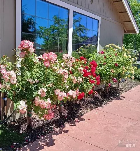 Exterior - 6133 Tamara Ln, Windsor, CA 95492 photo 14 of 18