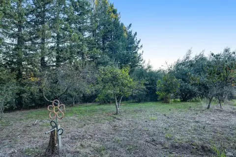 700 Old King Rd, Petaluma, CA 94952 photo 40