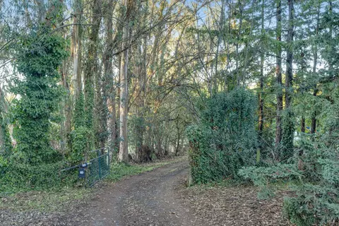 700 Old King Rd, Petaluma, CA 94952 photo 41