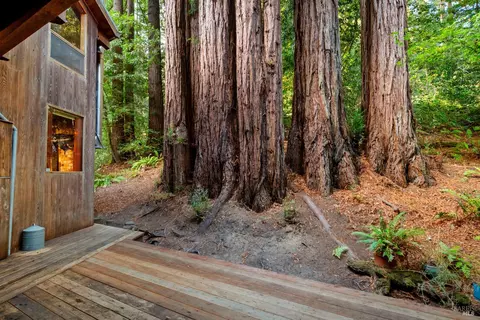 Exterior - 2081 Joy Rd, Occidental, CA 95465 photo 3 of 29