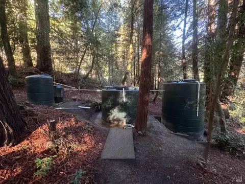 Exterior - 2081 Joy Rd, Occidental, CA 95465 photo 29 of 29