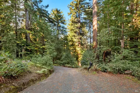 Other - 2081 Joy Rd, Occidental, CA 95465 photo 9 of 29
