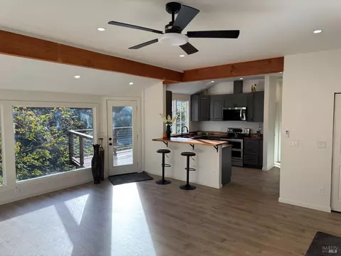 Other - 21883 Highway 116, Monte Rio, CA 95462 photo 5 of 8