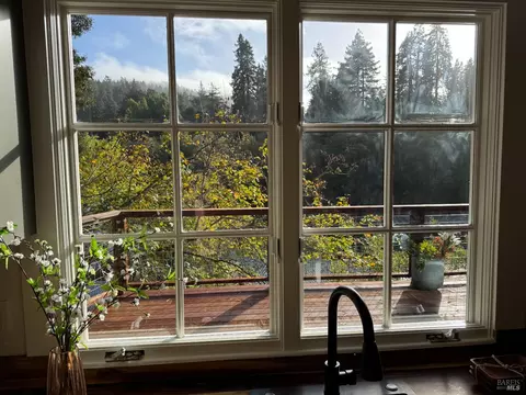 Other - 21883 Highway 116, Monte Rio, CA 95462 photo 6 of 8
