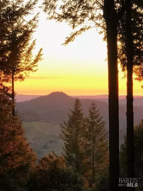 23500 Ridge Rd, Willits, CA 95490 photo 28