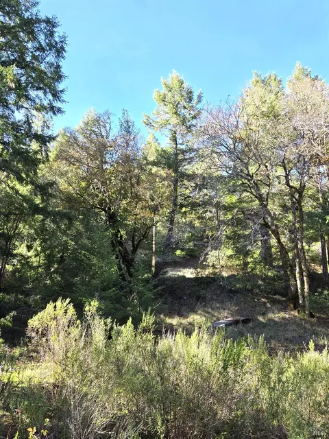 2713 Primrose Dr, Willits, CA 95490 photo 2