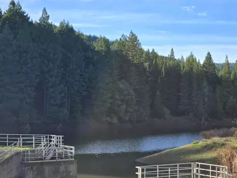 2713 Primrose Dr, Willits, CA 95490 photo 13