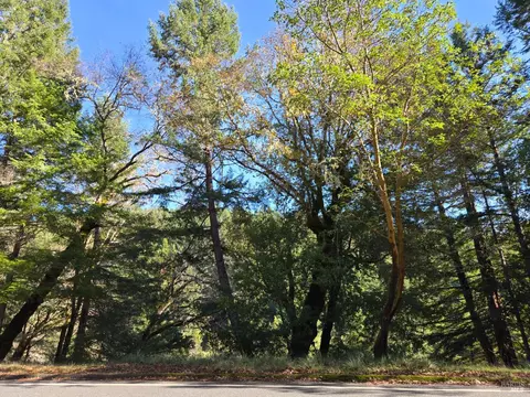 2713 Primrose Dr, Willits, CA 95490 photo 5