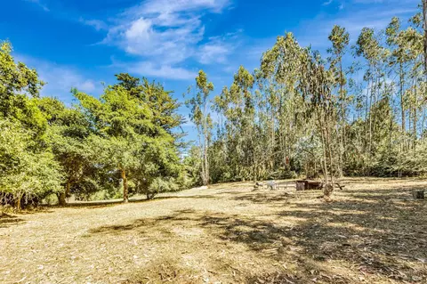 Exterior - 3590 Burnside Rd, Sebastopol, CA 95472 photo 17 of 29
