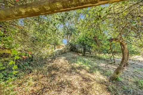 Exterior - 3590 Burnside Rd, Sebastopol, CA 95472 photo 23 of 29