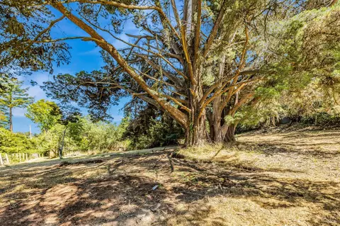 Exterior - 3590 Burnside Rd, Sebastopol, CA 95472 photo 14 of 29