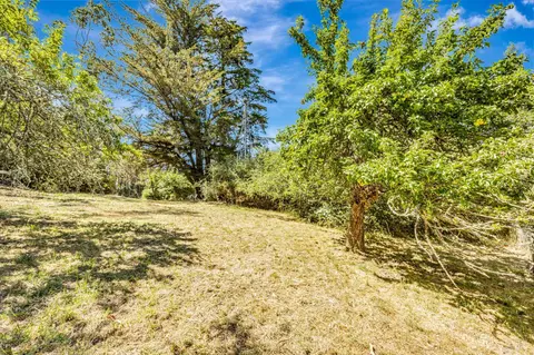 Exterior - 3590 Burnside Rd, Sebastopol, CA 95472 photo 20 of 29