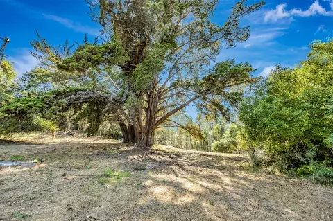 Exterior - 3590 Burnside Rd, Sebastopol, CA 95472 photo 12 of 29