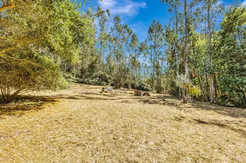 Exterior - 3590 Burnside Rd, Sebastopol, CA 95472 photo 15 of 29