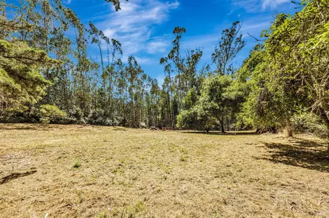 Exterior - 3590 Burnside Rd, Sebastopol, CA 95472 photo 13 of 29
