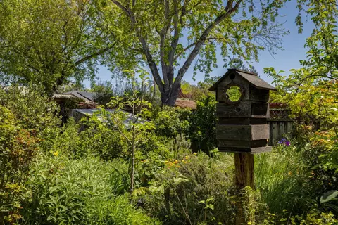 Exterior - 340 Payran St, Petaluma, CA 94952 photo 5 of 8
