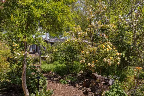 Exterior - 340 Payran St, Petaluma, CA 94952 photo 7 of 8
