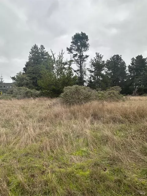 35604 Timber Ridge Rd, The Sea Ranch, CA 95497
