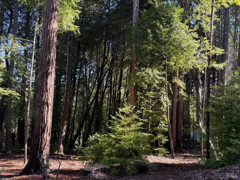 27089 Otter Ct, Willits, CA 95490 photo 2