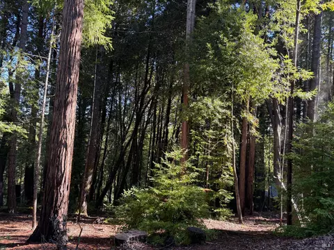 27089 Otter Ct, Willits, CA 95490 photo 7