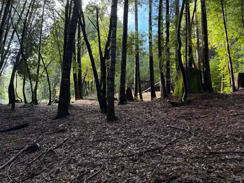 27089 Otter Ct, Willits, CA 95490