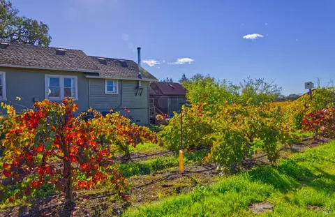 1623 Willowside Rd, Santa Rosa, CA 95401 photo 8