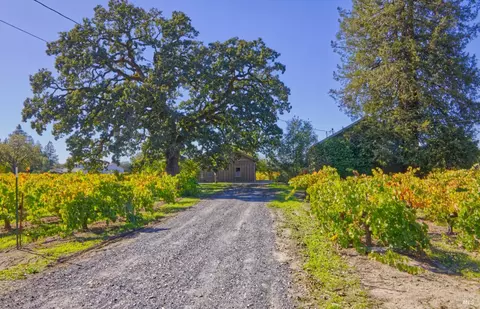 1623 Willowside Rd, Santa Rosa, CA 95401 photo 6