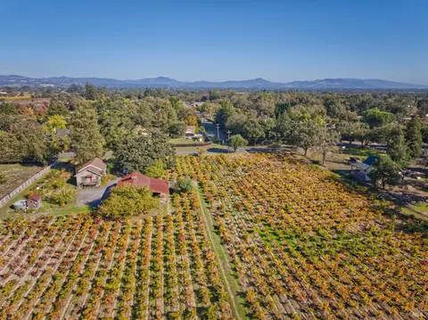 1623 Willowside Rd, Santa Rosa, CA 95401 photo 3
