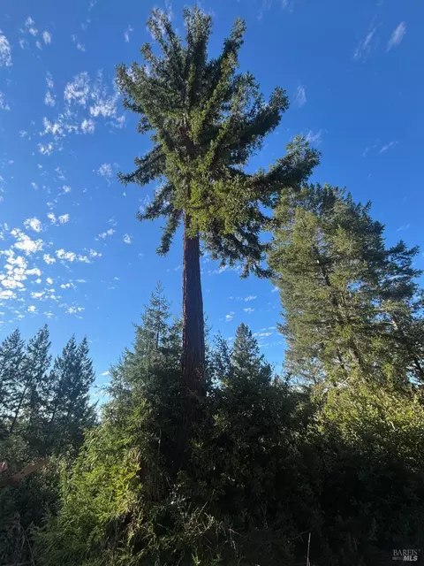 36000 Nash Mill Rd, Philo, CA 95466 photo 26