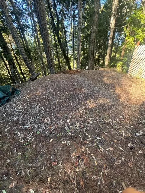 36000 Nash Mill Rd, Philo, CA 95466 photo 16