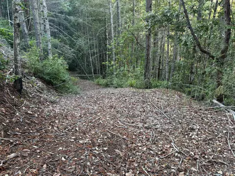 36000 Nash Mill Rd, Philo, CA 95466 photo 31