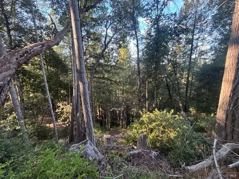 36000 Nash Mill Rd, Philo, CA 95466 photo 37