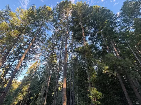36000 Nash Mill Rd, Philo, CA 95466 photo 38